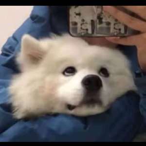 薛婧专辑《姿韵2》1000
